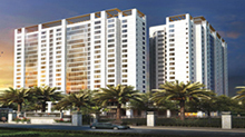 The Room residences